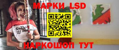 дживик Кандалакша