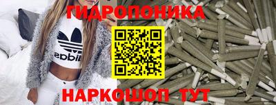 ГАЛЛЮЦИНОГЕННЫЕ ГРИБЫ Канаш