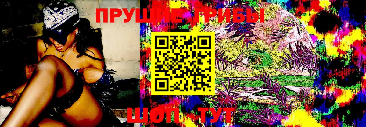 Псилоцибиновые грибы GOLDEN TEACHER  Вход с VPN  Лабытнанги 